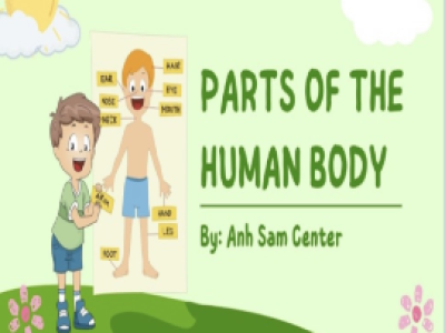 PARTS OF THE HUMAN BODY